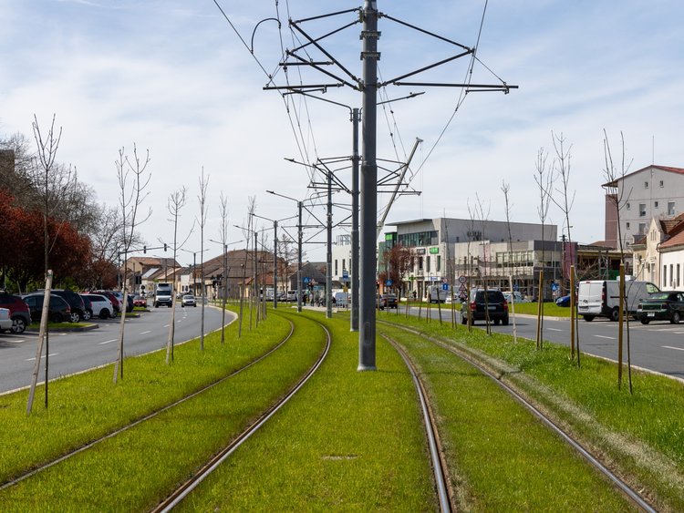 A relaxing tram ride Tram tracks on a green platform. Overhead line masts between the two tracks. Two lanes with cars to the right and left